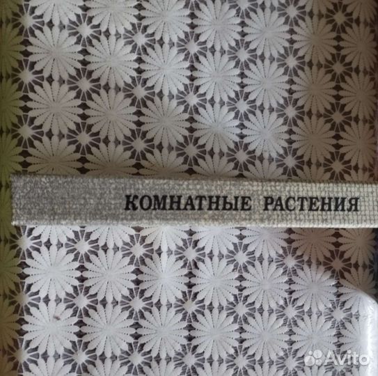 Комнатные растения