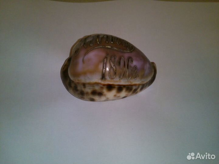 Ракушка с гравировкой 19 век