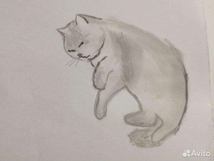 Рисую арты,ваших животных, и т.д