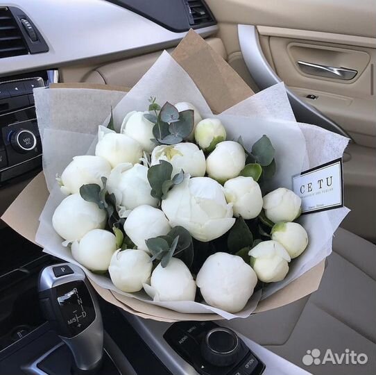 Белые Пионы