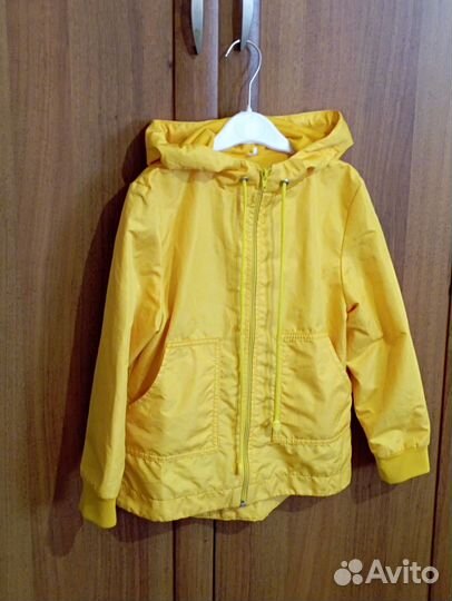 Ветровка Дино