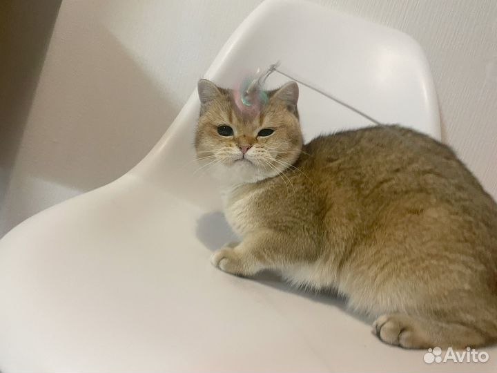 Очень хороший персонаж