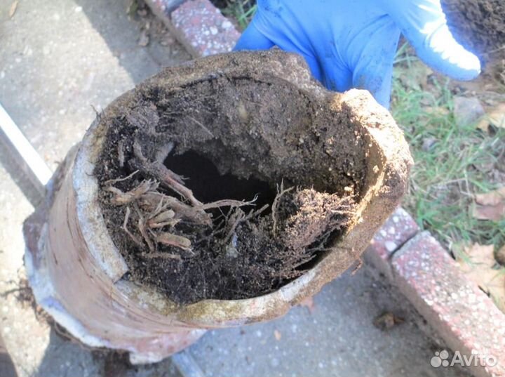 Пpoчиcткa кaнaлизaции/Устранение засоров/Льдa/Жиpa