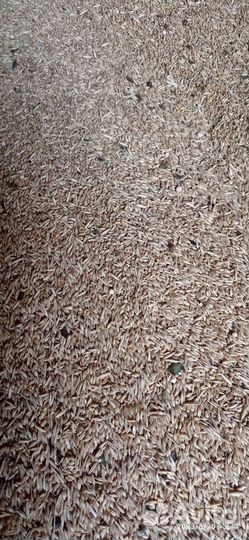 Зерносмесь