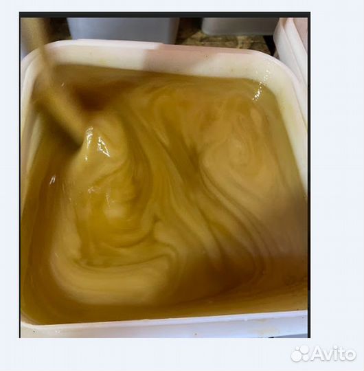 Мед оптом. Цветочный мед