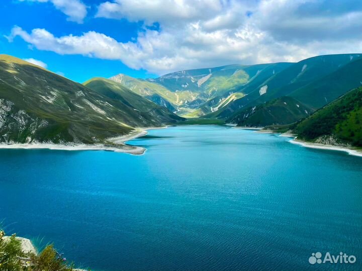 Экскурсии и туры по Чечне Гид по Чечне