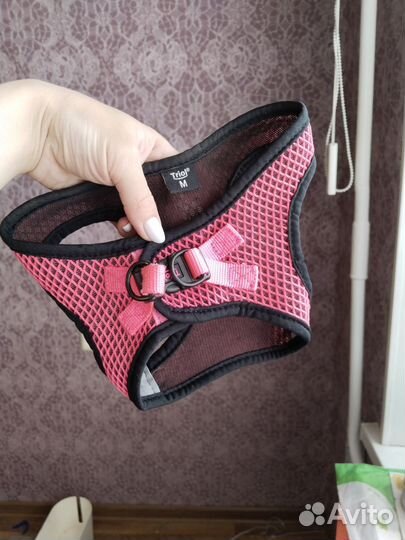 Жилетка для собак плюс шлейка