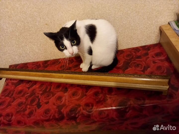 Карнизы старинные деревянные бу