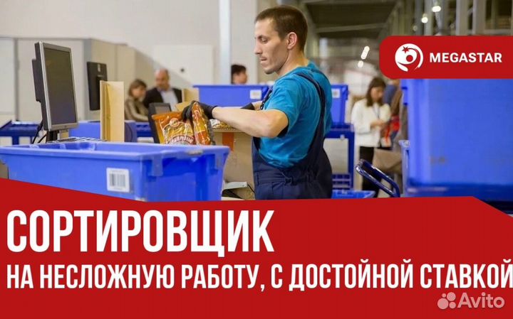 Местно / Сортировщик / дб
