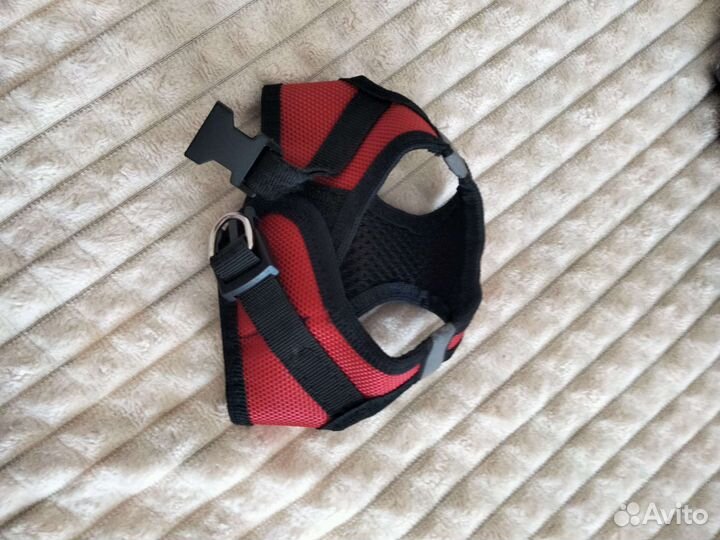 Товары для животных