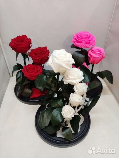 Роза в колбе