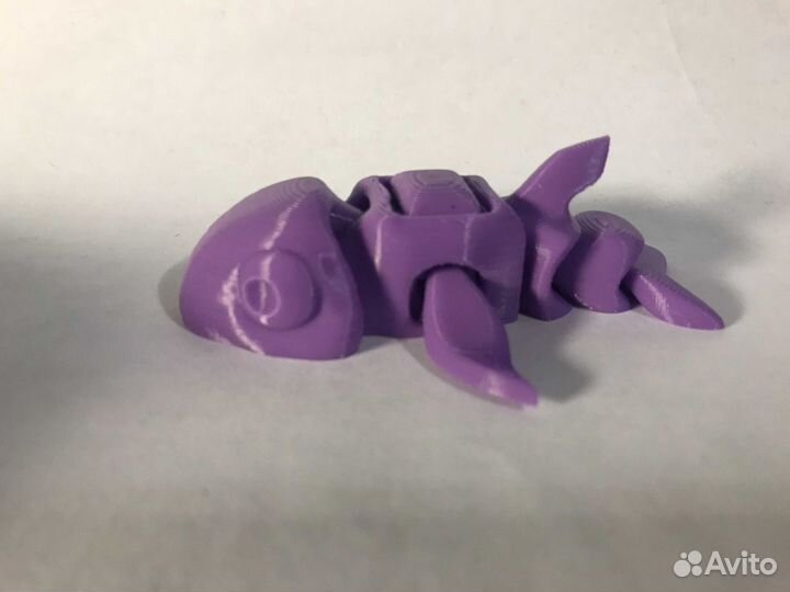 Обитатели моря: касатка дельфин кит морская звезда