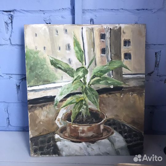 Картины этюды маслом