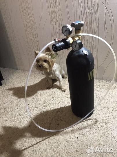Баллон углекислотный,CO 2/5л.,с редуктором