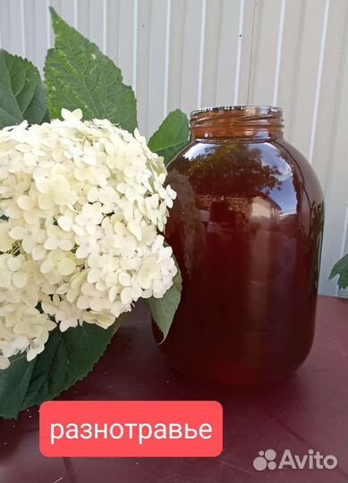 Свежий мёд 2023