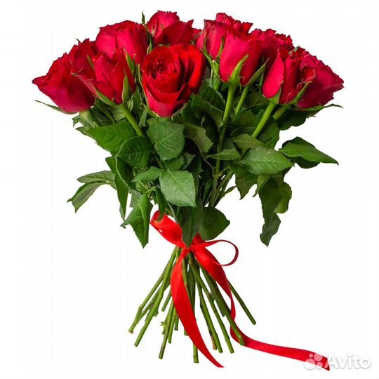 Букет из 25 роз Малинди 50 см Эконом