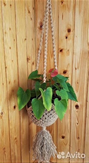 Подвесное макраме кашпо для цветов и композиций