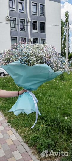 Гипсофила Букеты из гипсофил Доставка