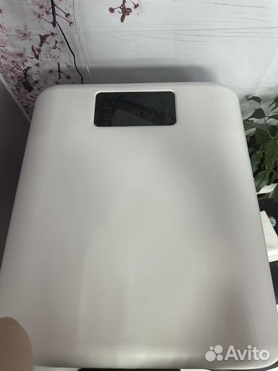 Сушильная камера для домашних питомцев