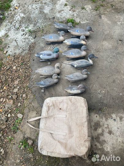 Утки подсадные для охоты