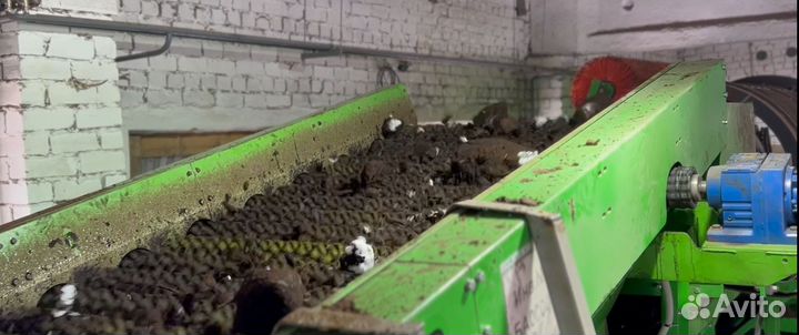 Грохот звездчатый с конвейером