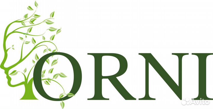 Помощник руководителя