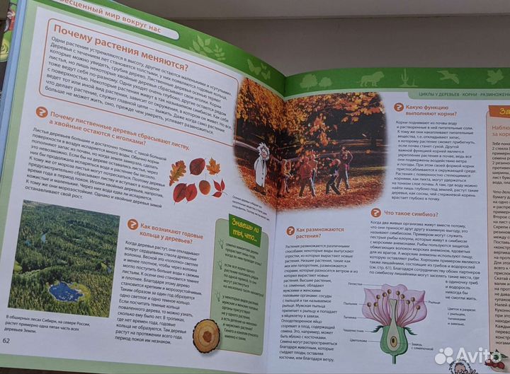 Большая энциклопедия знаний