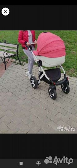 Коляска 2 в 1 adamex gloria