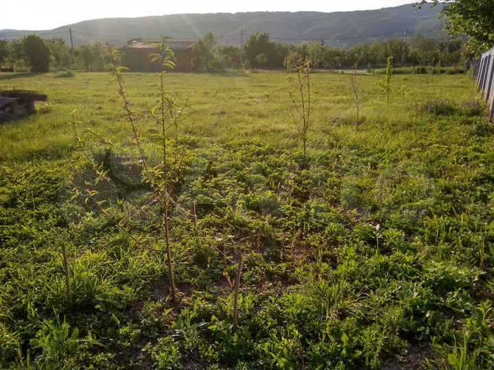 Участок 24,6 сот. (ИЖС)