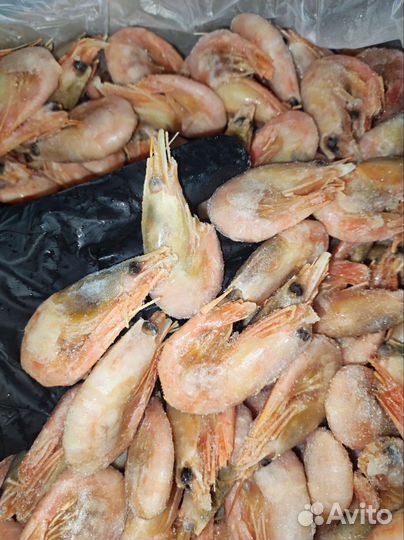 Креветки северные 70 90