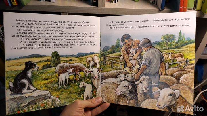 Приключения щенка. Книга для малышей