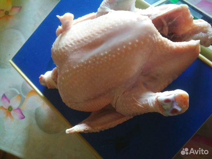 Мясо кур бройлеров