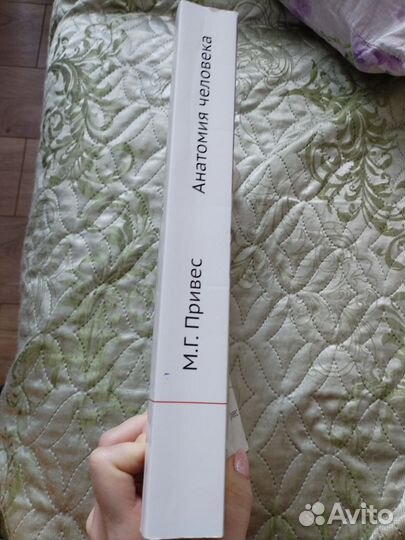 Учебник М. Г. Привес Анатомия человека