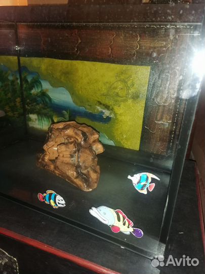 Аквариум