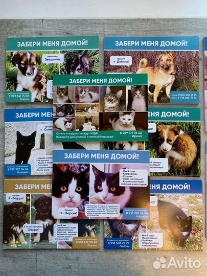 Услуги типографии