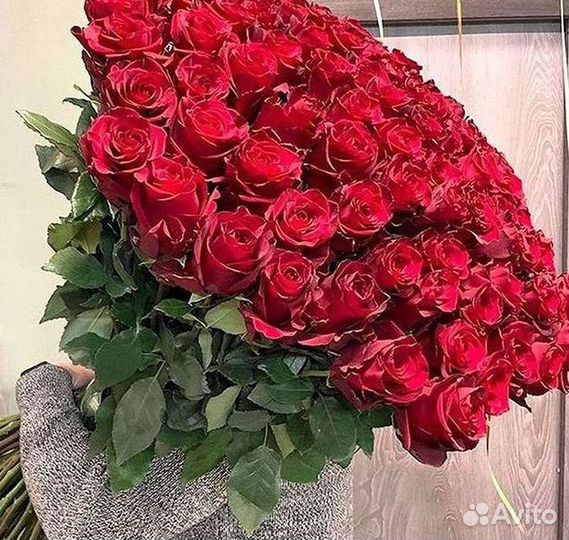 Розы Букеты Цветы Розы 31 101 151 201 Доставка