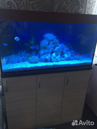 Аквариум