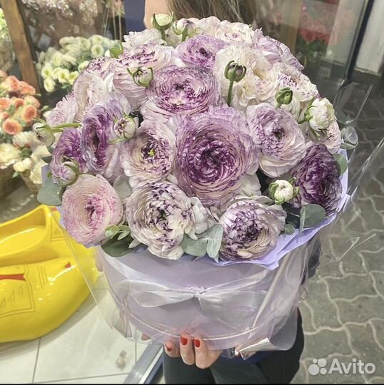 Ранунклюсы цветы