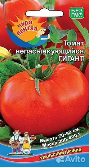 Рассада помидоров томатов