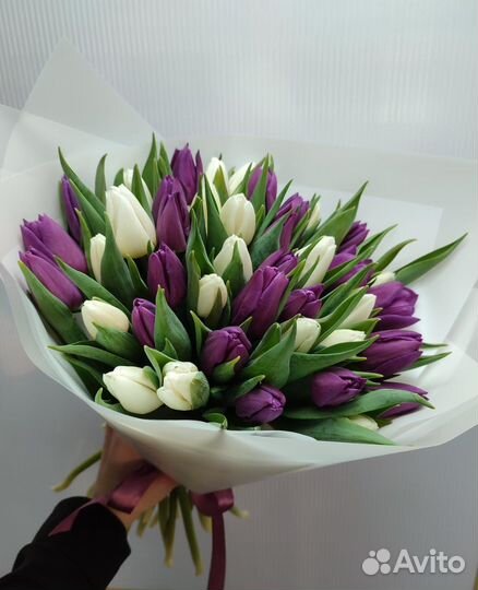 Тюльпаны оптом 2024