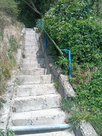 Дом 40 м² на участке 5 сот.