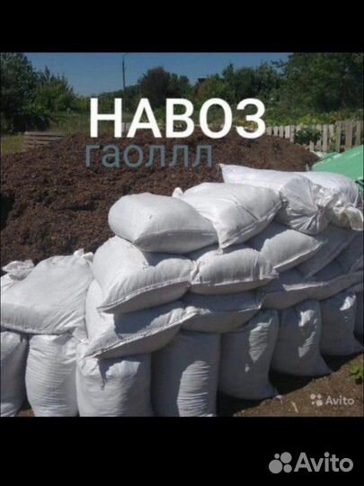 Конский перегной доставка бесплатно