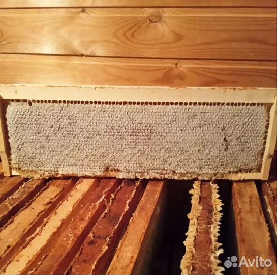 Мед, соты, забрус