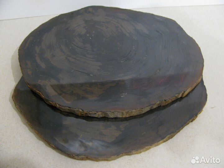 Окаменелое дерево (срез)