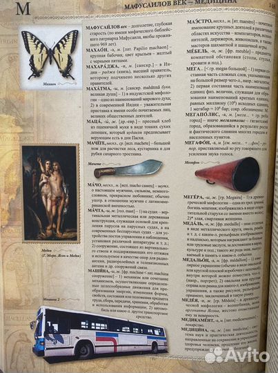 Иллюстрированный словарь иностранных слов