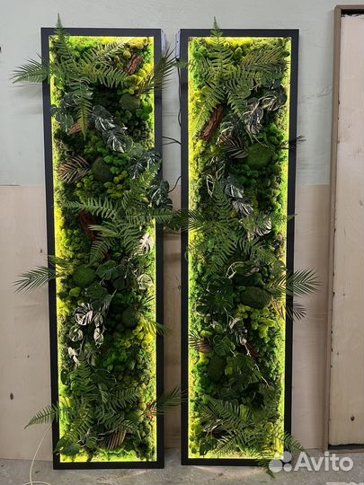 Вертикальное озеленение, фитопанно, картина из мха