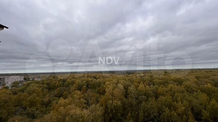 2-к. квартира, 53,1 м², 12/12 эт.