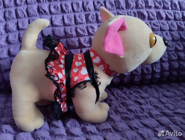 My little pony пинки пай и,chi chi love чихуахуа