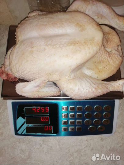 Мясо бройлера домашнего