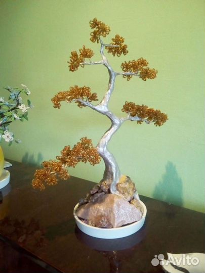 Деревья бонсай